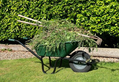 gardening-&-cleaning gardening-&-cleaning